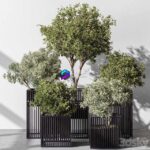 مدل سه‌بعدی مجموعه گیاهان آپارتمانی در گلدان‌های مدرن | Indoor plant set 380 Set of potted trees and plants 0