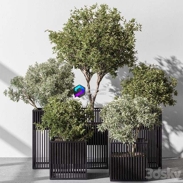 Indoor plant set 380- Set of potted trees and plants 0