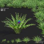 مدل سه‌بعدی گیاه Kupena با طراحی طبیعی | Kupena flowers Polygonatum 0