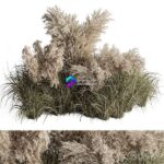 مدل سه‌بعدی بوته‌های گیاه پامپاس طبیعی | Mixed Pampas Plant Bush Set 95