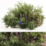 مدل سه‌بعدی بوته‌های گیاهی سبز و بنفش | Mixed Plant Bush Green and Purple – Bush Set 50 0