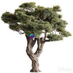 مدل سه‌بعدی درخت تزئینی با طراحی طبیعی | Ola Tree Set 294 0