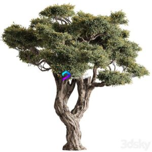 Ola Tree Set 294 0