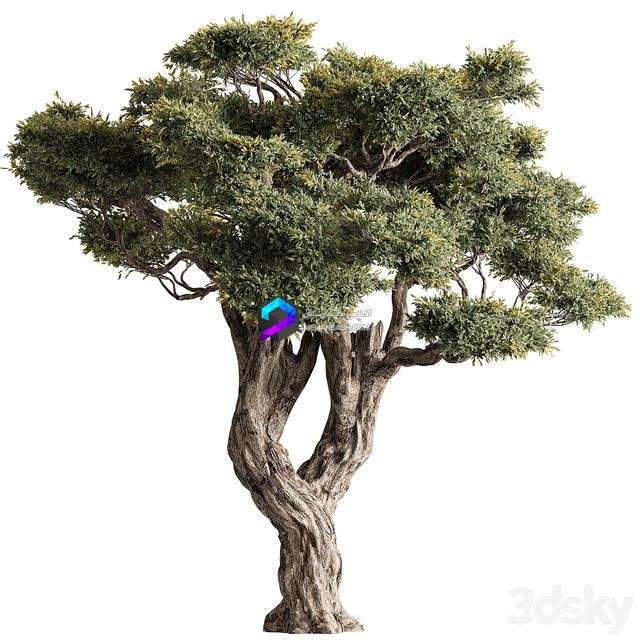 مدل سه‌بعدی درخت تزئینی با طراحی طبیعی