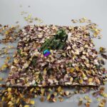 مدل سه‌بعدی کنده درخت با پوشش خزه و برگ‌های خشک | Old stump with moss leaves