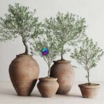 مدل سه‌بعدی درخت زیتون در گلدان‌های سفالی قدیمی | Olive European In Antique Clay Vessels 0