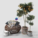 مدل سه‌بعدی درخت پرتقال تزئینی | Orange Trees set 03