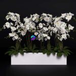 مدل سه‌بعدی دسته گل ارکیده فالاِنپسیس | Orchid phalaenopsis bouquet 3 0