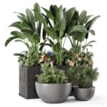 مدل سه‌بعدی گلدان‌های گیاهی مدرن | Outdoor Garden set Bush and Tree Garden Set 1144