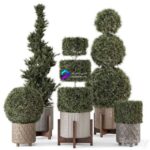 مدل سه‌بعدی گیاهان کاج در گلدان بتنی | Outdoor Pine Plants in Concrete Pot Set 522 0