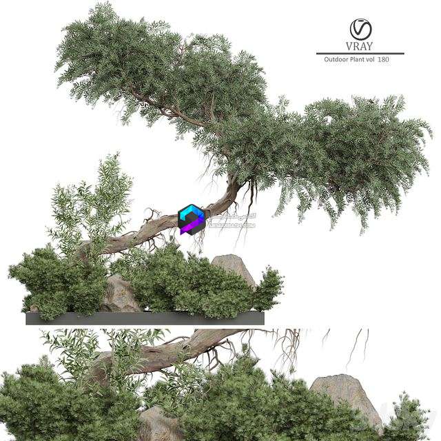 مدل سه‌بعدی درخت تزئینی با طراحی طبیعی