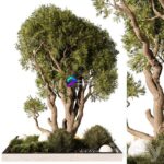 مدل سه‌بعدی درخت تزئینی با شاخ و برگ انبوه | Outdoor Plant 247 0