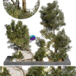 مدل سه‌بعدی درختان تزئینی طبیعی | Outdoor Plant 65
