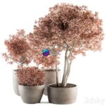 مدل سه‌بعدی گیاهان تزئینی با گلدان بتنی | Outdoor Plant Set 359 Pink Plant Set in Concrete Pot 0
