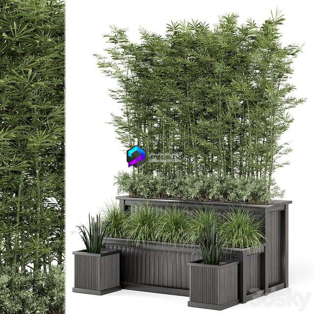 Outdoor Plants Bamboo and bush in Wooden Pot -Set 195 0