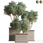 مدل سه‌بعدی درختان زینتی با گلدان چوبی | Outdoor Plants Tree 22