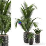 مدل سه‌بعدی گیاهان آپارتمانی در گلدان‌های بتنی | Outdoor Plants bush and Tree in rusty Concrete Pot Set 148 0