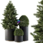 مدل سه‌بعدی درختان آپارتمانی در گلدان بتنی | Outdoor Plants tree in Concrete Pot Set 110 0
