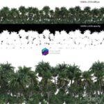 مدل سه‌بعدی جنگل نخل با نقشه شفافیت | Palm Forest Panorama with Opacity Map 0
