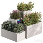 مدل سه‌بعدی جعبه گیاهان خارجی با گل‌های رنگارنگ | Plant Box Outdoor Plants Flowers 534 0