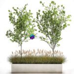 مدل سه‌بعدی درختان تزئینی با گلدان مدرن | Plant collection 1066 0