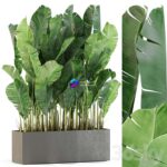 مدل سه‌بعدی گیاه آپارتمانی با گلدان مدرن | Plants Collection 444