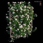 مدل سه‌بعدی گیاه گل رز با پایه چوبی | Rose Plant Set 13
