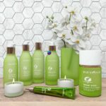 آبجکت مجموعه لوازم بهداشتی و آرایشی طبیعی | Set Beyond natural cosmetics | Set Beyond natural cosmetics