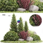 مدل سه‌بعدی درختان و گیاهان تزئینی برای فضای باز | Set Plants 223 – Outdoor Garden 0