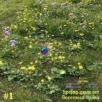 مدل سه‌بعدی پوشش گیاهی بهاری با گل‌های زرد و بنفش | Spring grass set 1