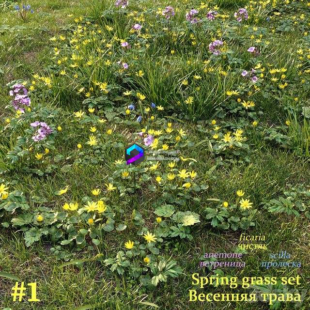 Spring grass set #1
