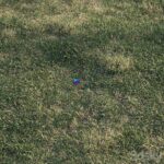 مدل سه‌بعدی چمن بهاری طبیعی | Spring meadow grass