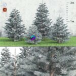 مدل سه‌بعدی درخت کاج تزئینی | Spruce 0