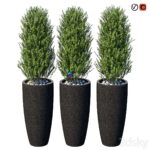 مدل سه‌بعدی درختچه‌های تزئینی در گلدان‌های مدرن | Street bushes in pots VI
