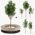 مدل سه‌بعدی درخت تزئینی با نیمکت بتنی | Tree Flowerbed