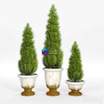 مدل سه‌بعدی گلدان‌های تزئینی با درختچه‌های همیشه سبز | Tuscan planters 0