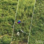 مدل سه‌بعدی چمن طبیعی با جزئیات بالا | Uncut grass lawn
