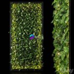 مدل سه‌بعدی دیوار سبز با پوشش گیاهی طبیعی | Vertical Garden 0010