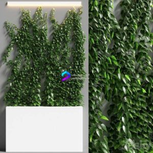 Vertical Garden 08