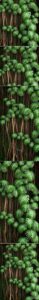 Vertical garden 9