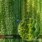 مدل سه‌بعدی دیوار سبز با پوشش خزه | Wall from moss