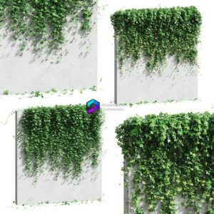 Wall with grape leaves