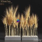 مدل سه‌بعدی گلدان گیاهان خشک با طراحی مدرن | Wheat Box