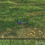 مدل سه‌بعدی چمن طبیعی با بافت متنوع | grass011