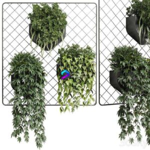 hanging plants collection Indoor plant 293 metal dirt vase