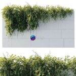 مدل سه‌بعدی گیاه آویزان از دیوار برای فضاهای خارجی | ivy hanging from the wall outdoor plants set 173 0