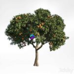 مدل سه‌بعدی درخت هلو میوه‌دار | peach tree 8 0
