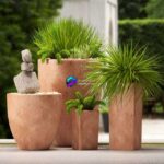 مدل سه‌بعدی گلدان‌های مدرن با گیاهان زینتی | plants